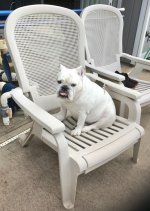 Lola Chair.jpg