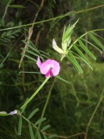 DSCF0971.JPG