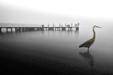 DSCF9951-Edit-2.jpg
