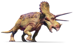 Triceratops_left_cepidt.png