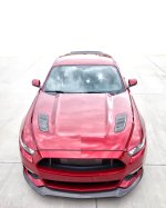 Mustang1.jpg