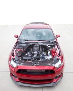 Mustang2.jpg