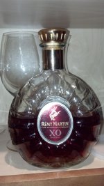Remy XO.jpg