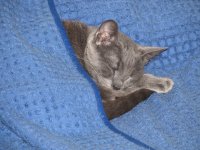 IMG_0712.JPG