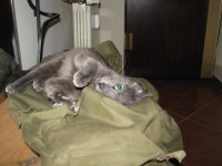 IMG_0206.JPG