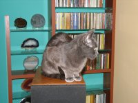 IMG_0333.JPG
