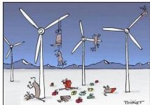 image-Wind.jpg