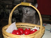 IMG_0407.JPG