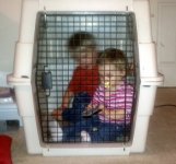 children-locked-up-in-a-cage.jpeg children-locked-up-in-a-cage.jpeg