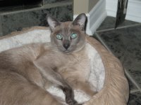 Venus 04.JPG