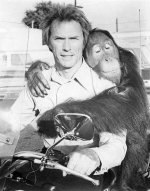 Ape.jpg