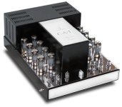 cat_jl2_300w.jpg