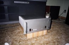 bedini and kitty.jpg