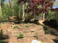 Garden 2 4-18-16 copy.jpg