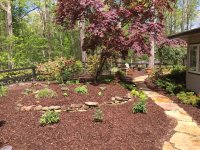 Garden with mulch .jpg
