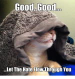 good-good-let-the-hate-flow-through-you-quick-meme-7869279.png