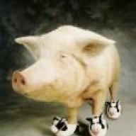 Mister Pig
