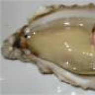 nedaust