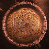 AThrillOfHope