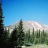 Wasatch